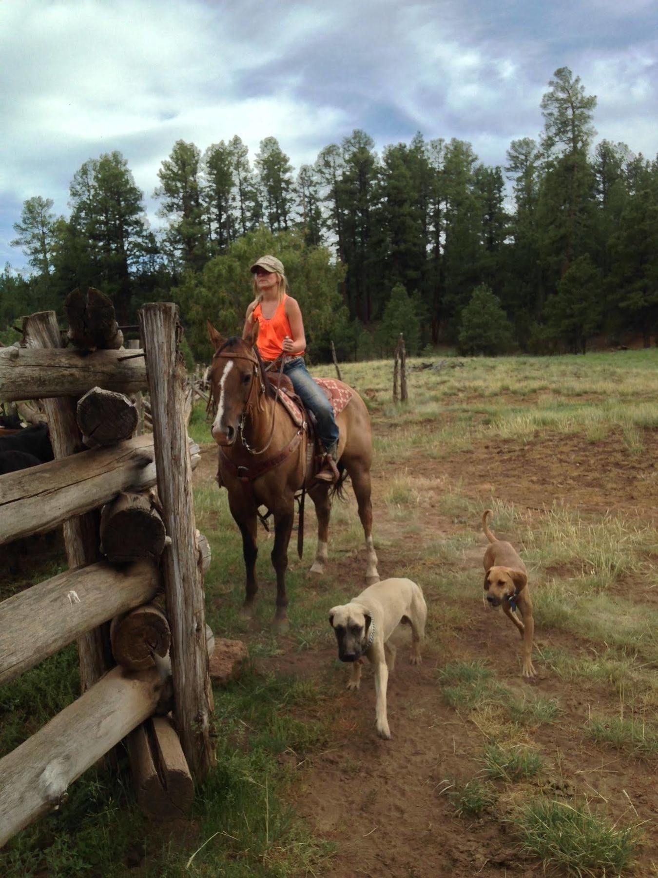 Grand Canyon Ranch & Outfitters 호텔 Fredonia 외부 사진