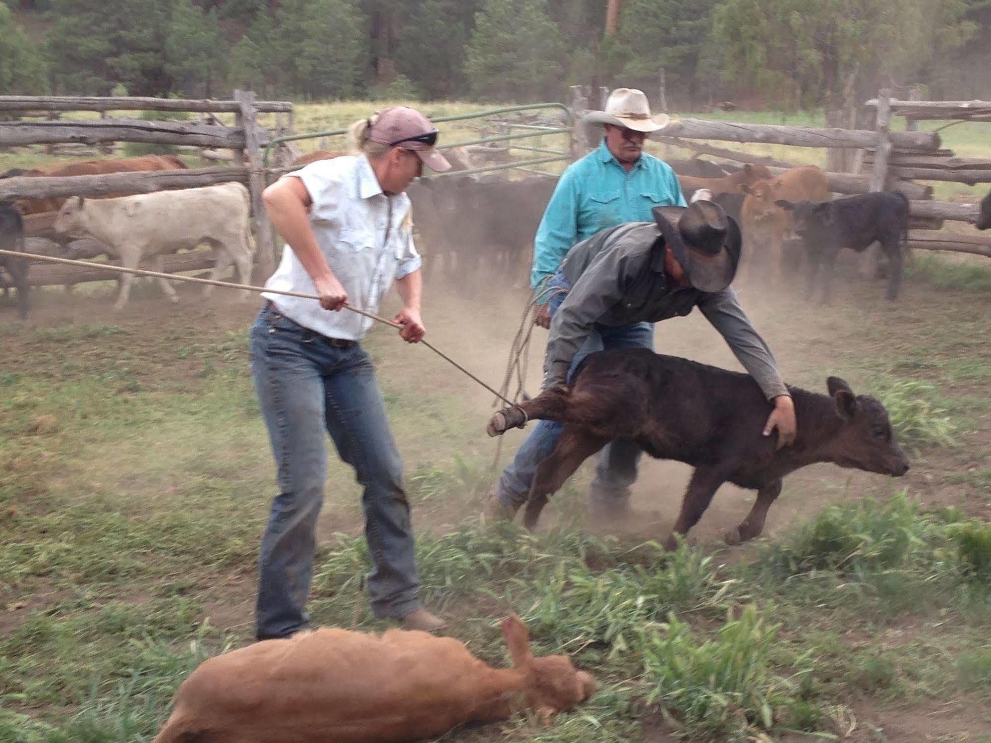 Grand Canyon Ranch & Outfitters 호텔 Fredonia 외부 사진